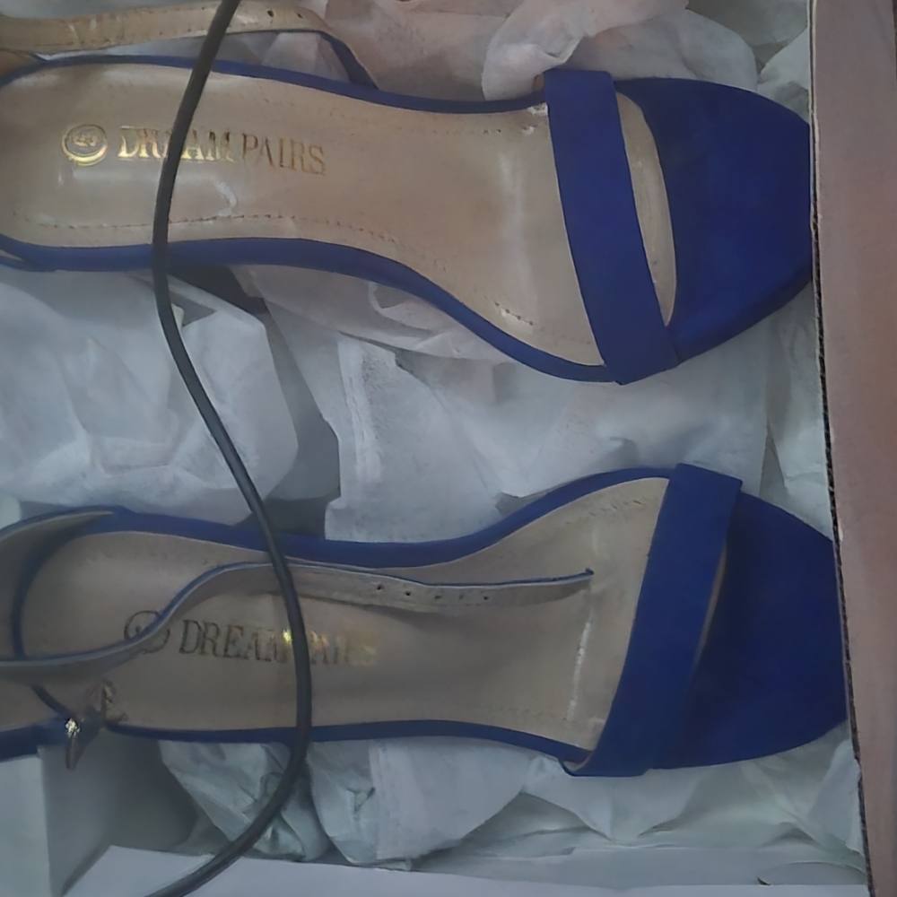 Royal Blue Stiletto Heels with Suede Finish